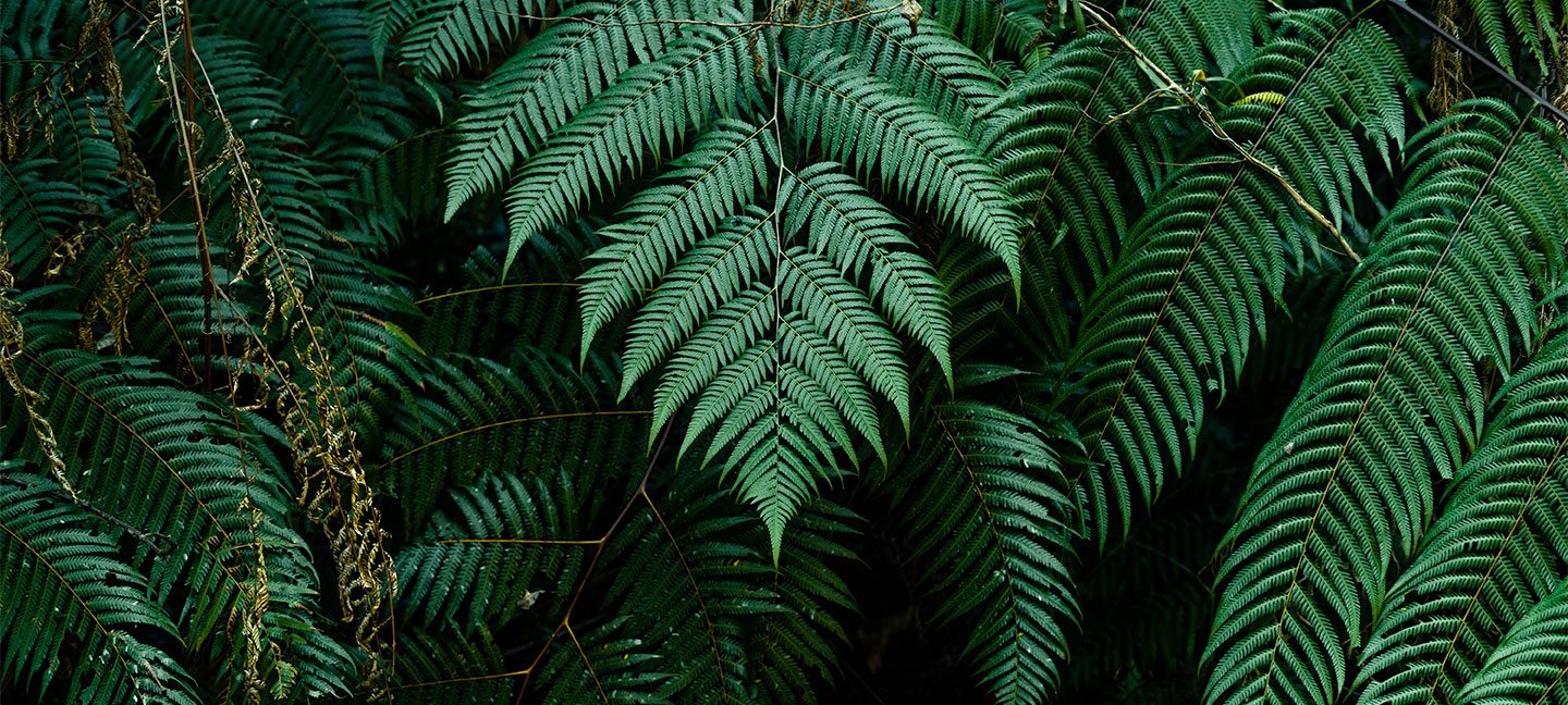 Impact environnmental Impact environnmental