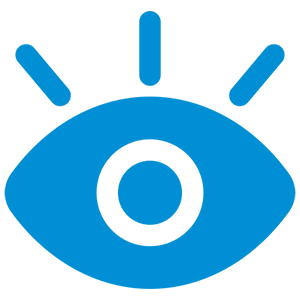 icn int 12 increased visibility