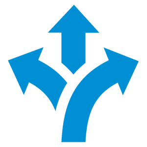 icn int 16 flexibility